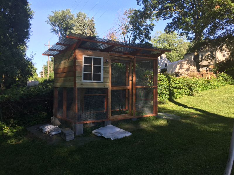 Illustration for article titled Back at it!/Chicken Coop